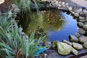 A water feature at Stone River Post Acute