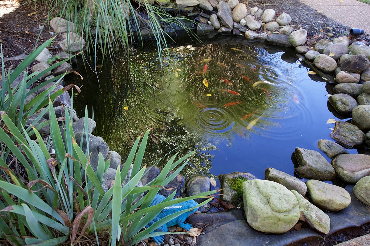 A water feature at Stone River Post Acute